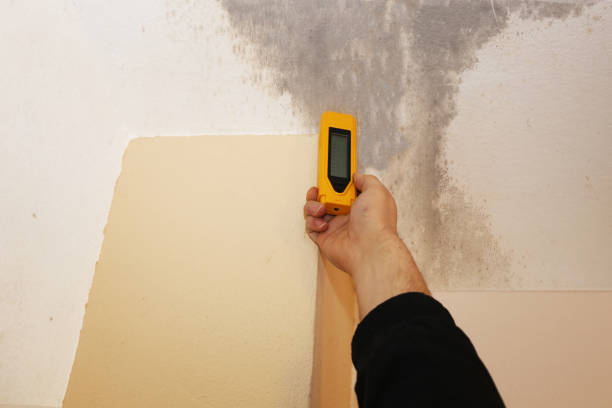 Best Post-Remediation Verification Testing  in Ocean Bluff Brant Rock, MA