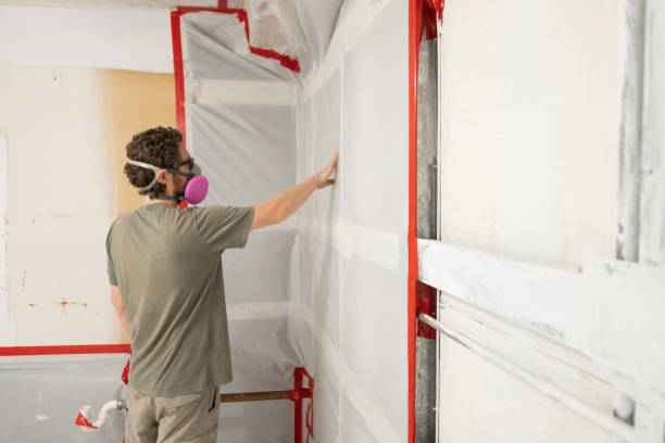 Best Mold Damage Restoration  in Ocean Bluff Brant Rock, MA