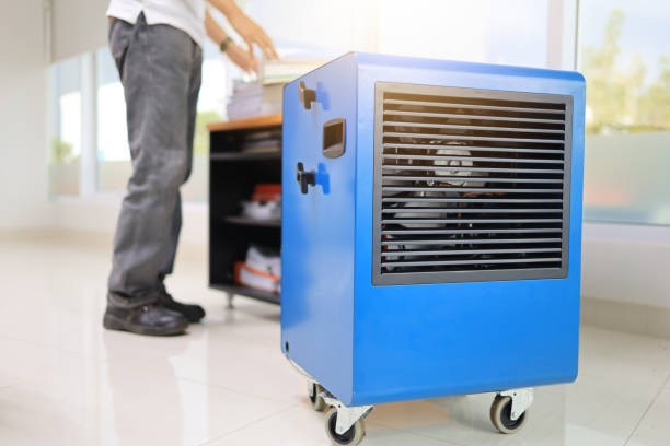Best HVAC Mold Inspection and Cleaning  in Ocean Bluff Brant Rock, MA