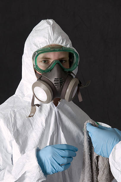 Best Basement Mold Removal  in Ocean Bluff Brant Rock, MA